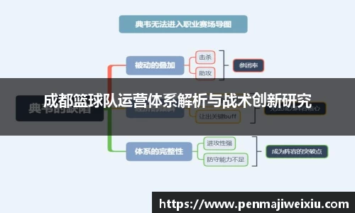 成都篮球队运营体系解析与战术创新研究