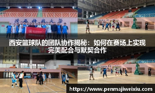 西安篮球队的团队协作揭秘：如何在赛场上实现完美配合与默契合作