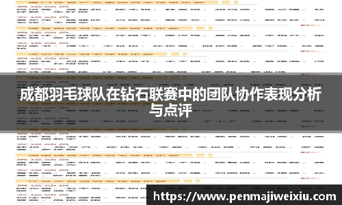 成都羽毛球队在钻石联赛中的团队协作表现分析与点评