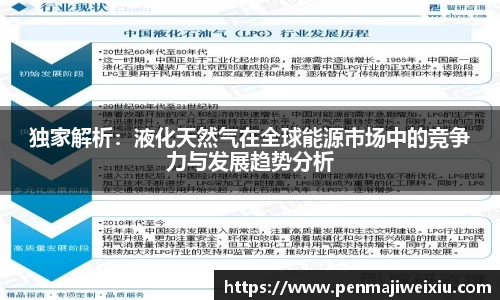 独家解析:液化天然气在全球能源市场中的竞争力与发展趋势分析