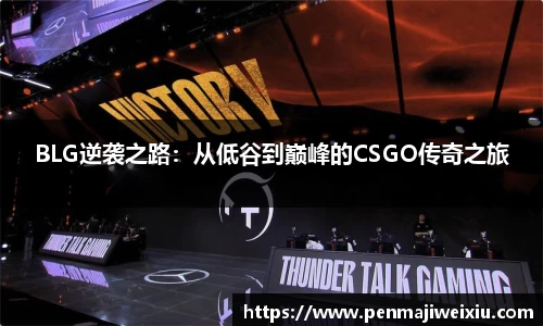 mk体育官网入口