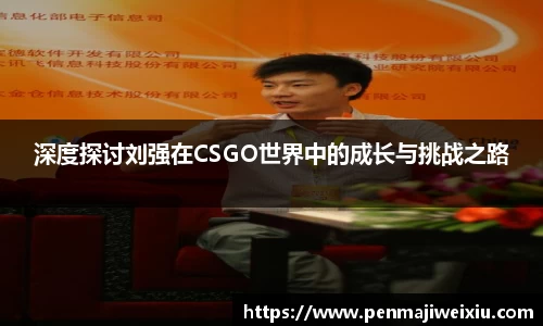 深度探讨刘强在CSGO世界中的成长与挑战之路