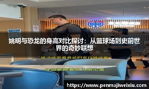 姚明与恐龙的身高对比探讨:从篮球场到史前世界的奇妙联想