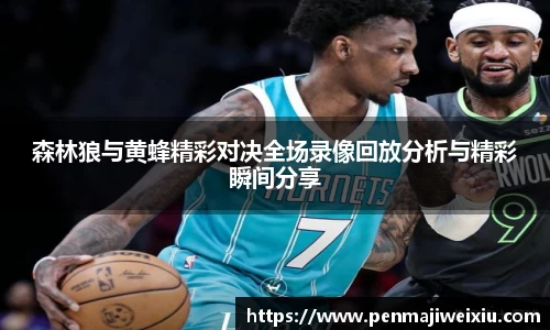 森林狼与黄蜂精彩对决全场录像回放分析与精彩瞬间分享